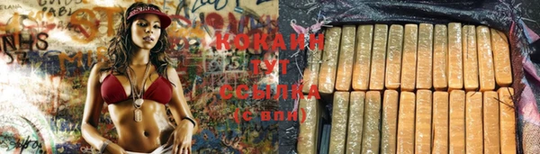бошки Абаза