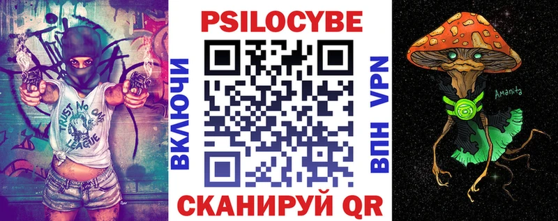 Псилоцибиновые грибы Psilocybe  Нижнекамск 