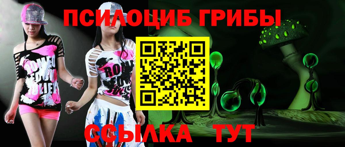 Галлюциногенные грибы ЛСД  Вход с VPN  Псилоцибиновые грибы GOLDEN TEACHER  купить закладку  Нижнекамск 